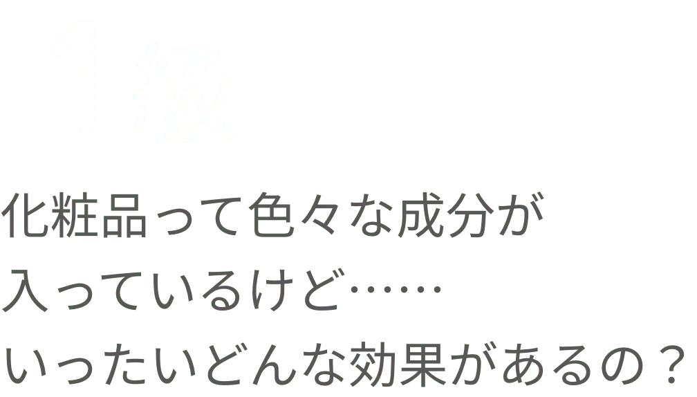 １級 化粧品って色々な成分が入っているけど……いったいどんな効果があるの？